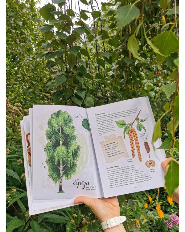 Мой гербарий. Листья деревьев(переупак)