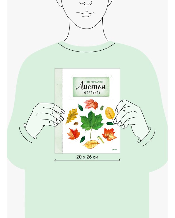 Мой гербарий. Листья деревьев(переупак)