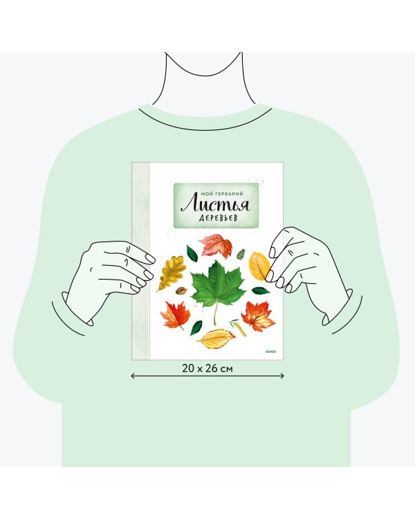Мой гербарий. Листья деревьев(переупак)