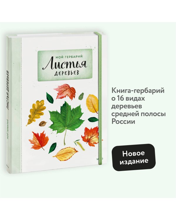 Мой гербарий. Листья деревьев(переупак)