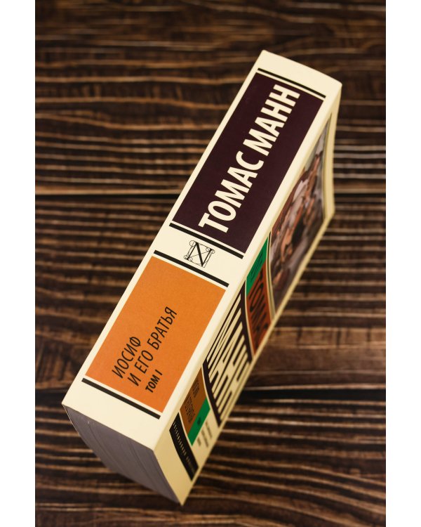 Иосиф и его братья. Том 1