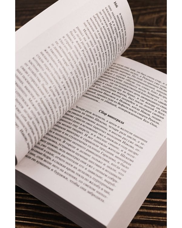 Иосиф и его братья. Том 1