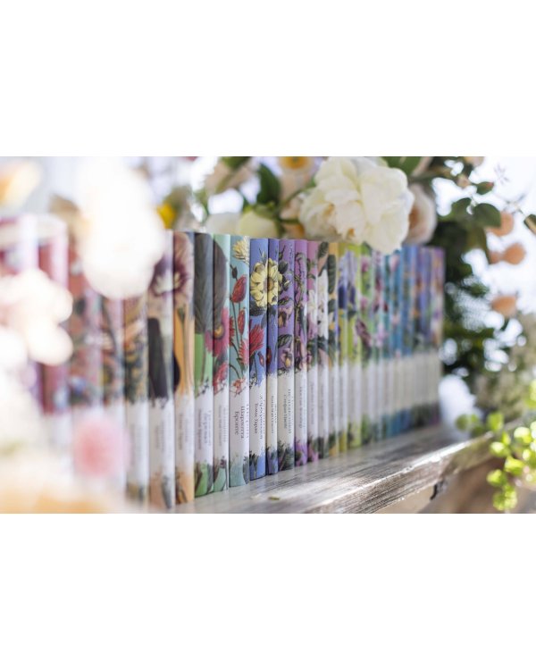 Любовник леди Чаттерли