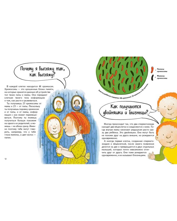 Откуда берутся дети?