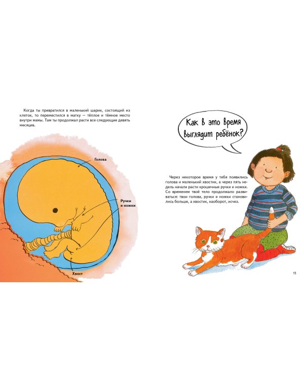 Откуда берутся дети?