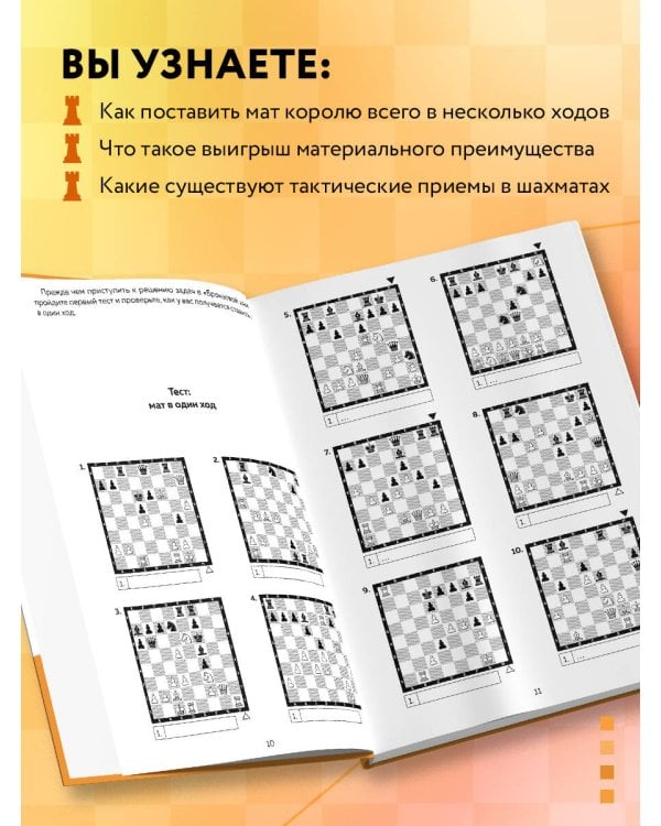 Шахматы. Задачи на мат в 2 хода. Более 500 задач
