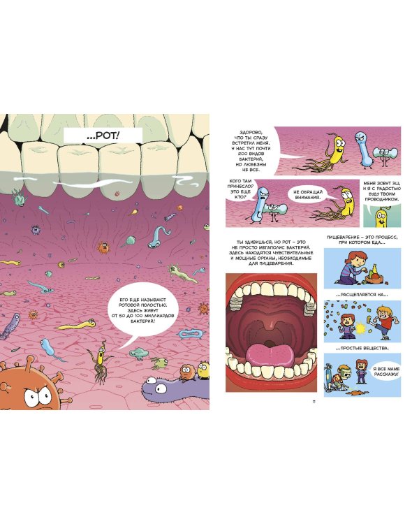 Пищеварение. Научный комикс