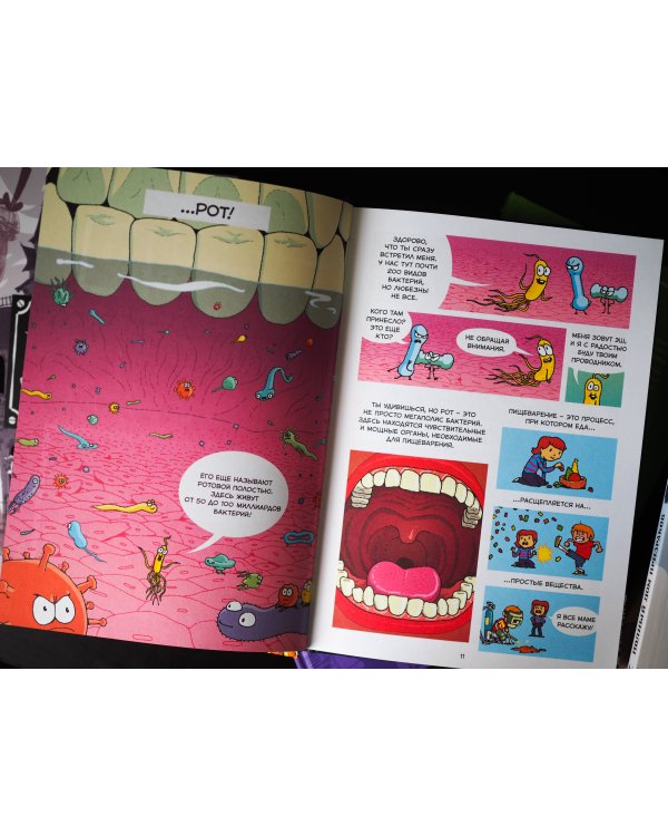 Пищеварение. Научный комикс