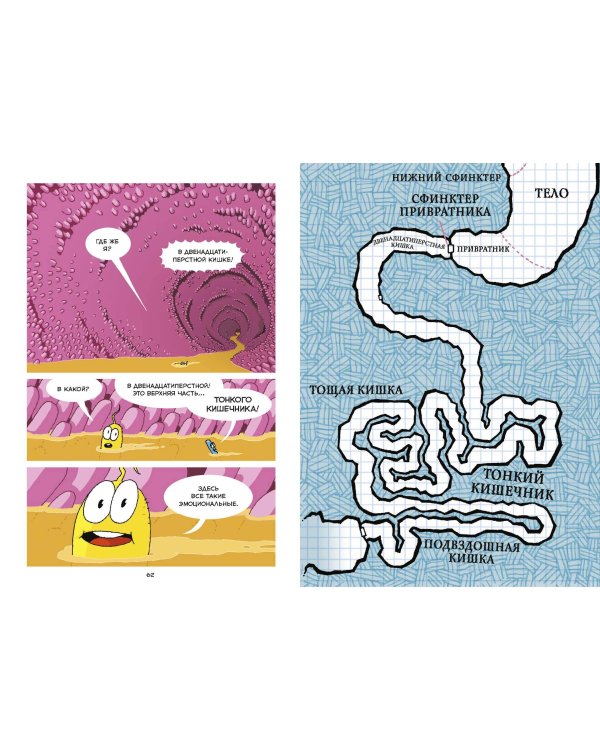 Пищеварение. Научный комикс