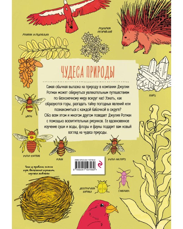 Анатомия природы. Занимательные детали мира природы