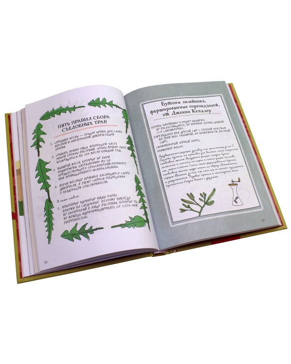 Анатомия природы. Занимательные детали мира природы