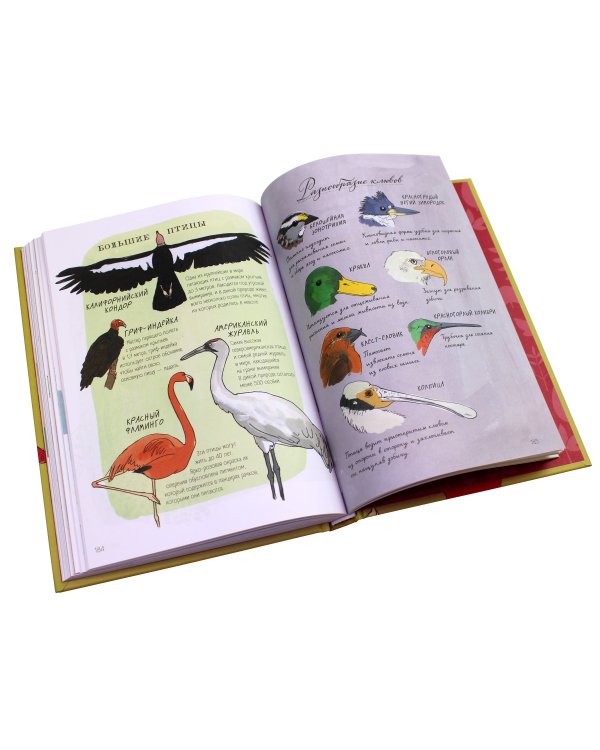 Анатомия природы. Занимательные детали мира природы