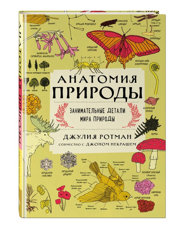 Анатомия природы. Занимательные детали мира природы