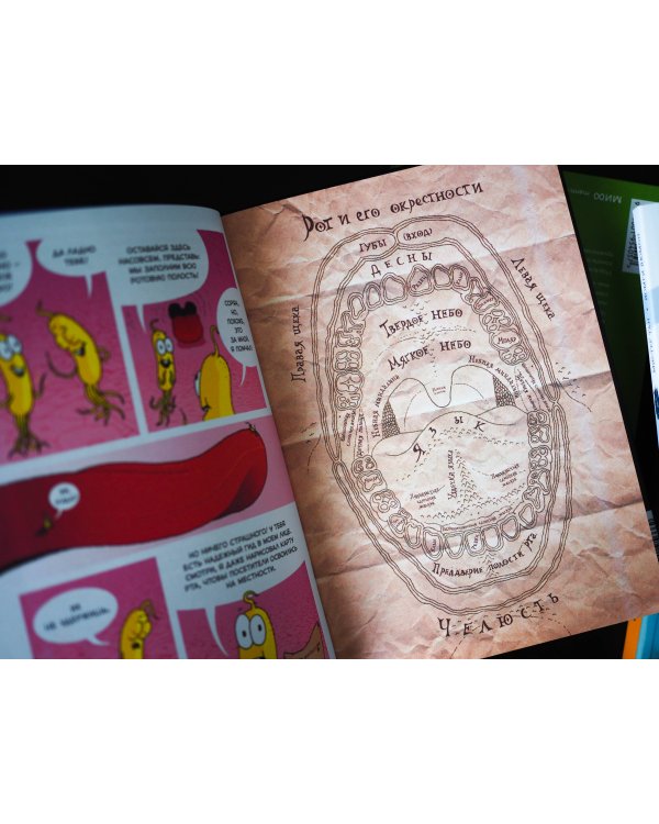 Пищеварение. Научный комикс