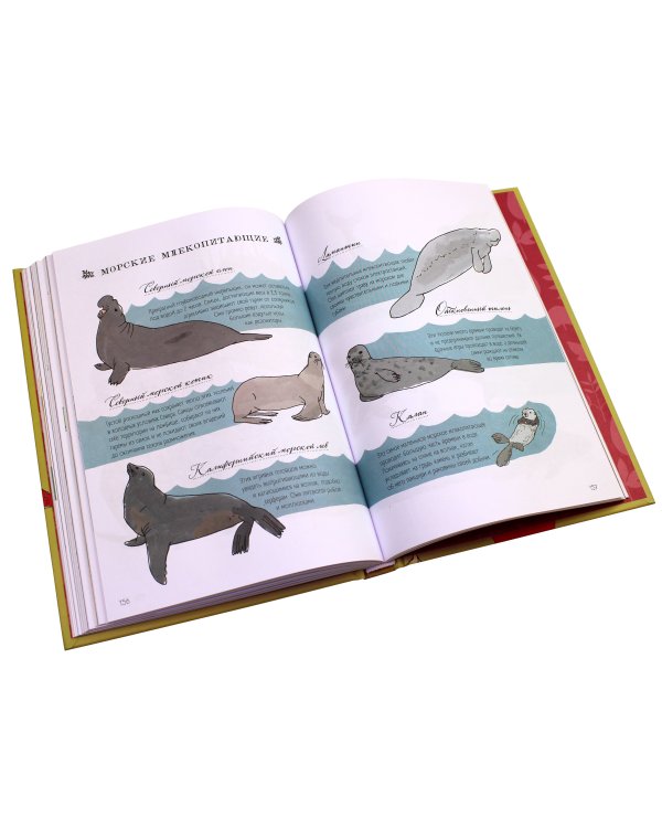 Анатомия природы. Занимательные детали мира природы