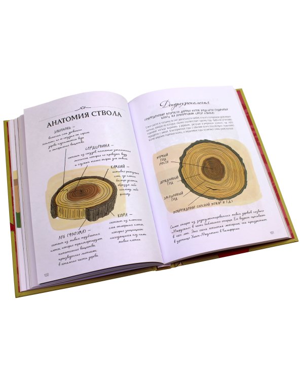 Анатомия природы. Занимательные детали мира природы