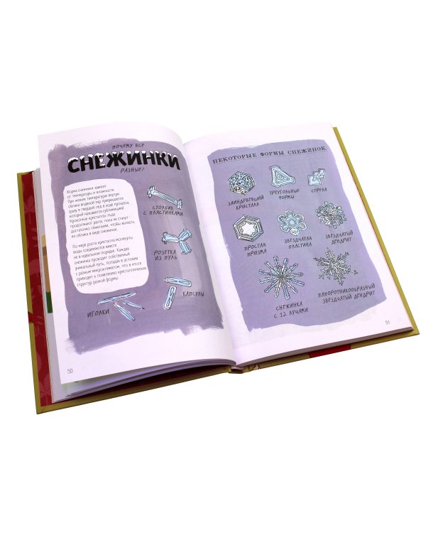 Анатомия природы. Занимательные детали мира природы