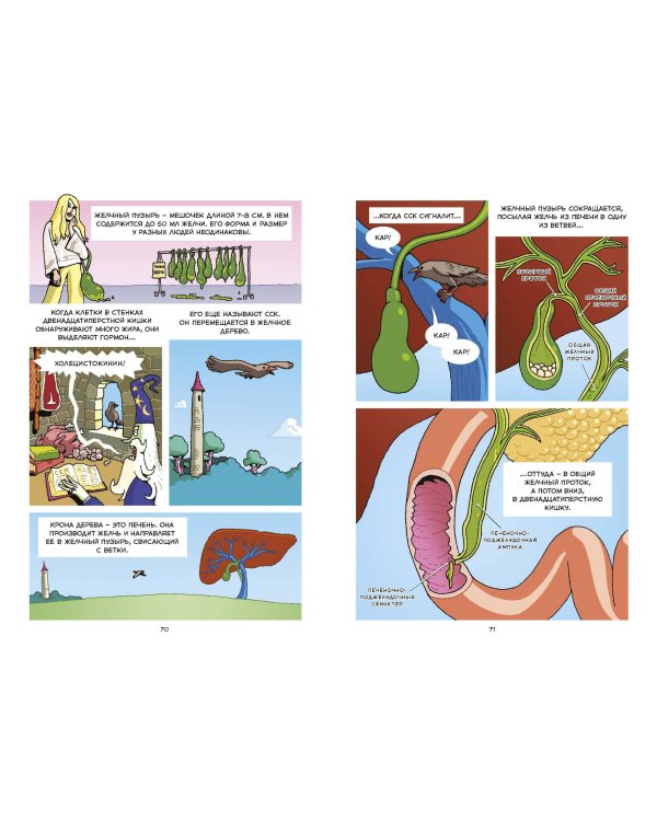 Пищеварение. Научный комикс