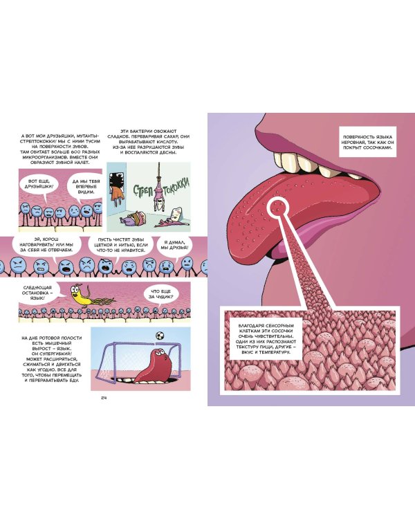 Пищеварение. Научный комикс