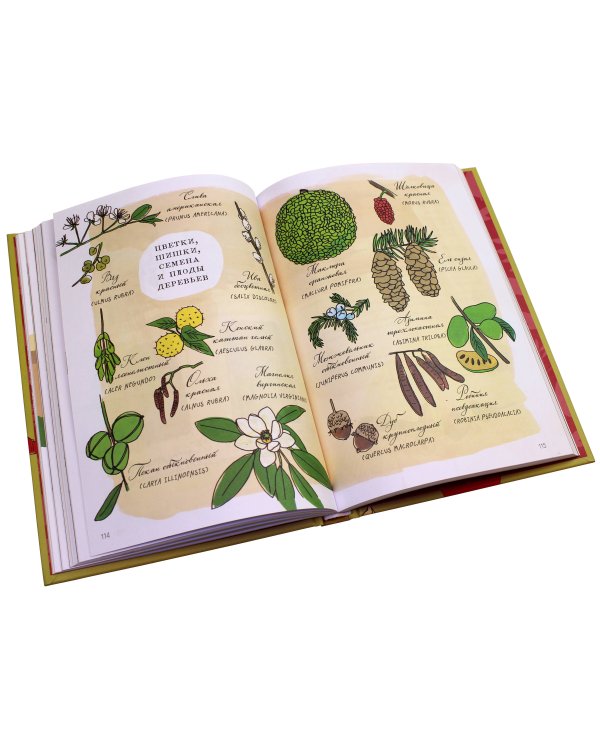 Анатомия природы. Занимательные детали мира природы