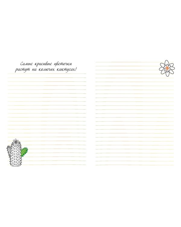 Верь в мечту!