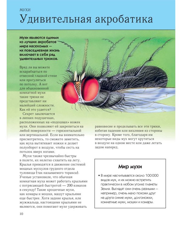 Насекомые. Полная энциклопедия