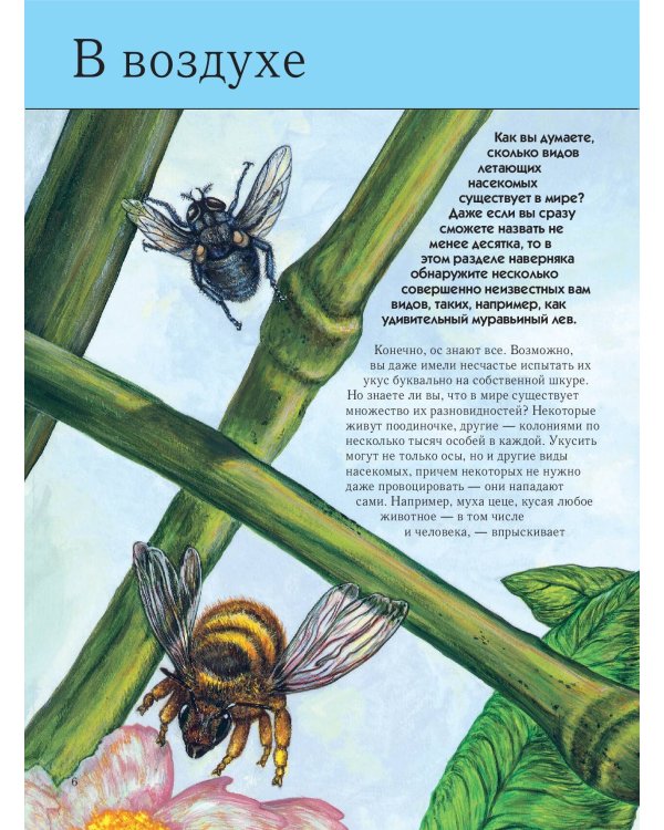 Насекомые. Полная энциклопедия