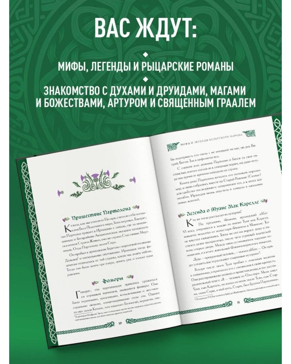 Мифы и легенды кельтов. Коллекционное издание (переплет под натуральную кожу, обрез с орнаментом, два вида тиснения)