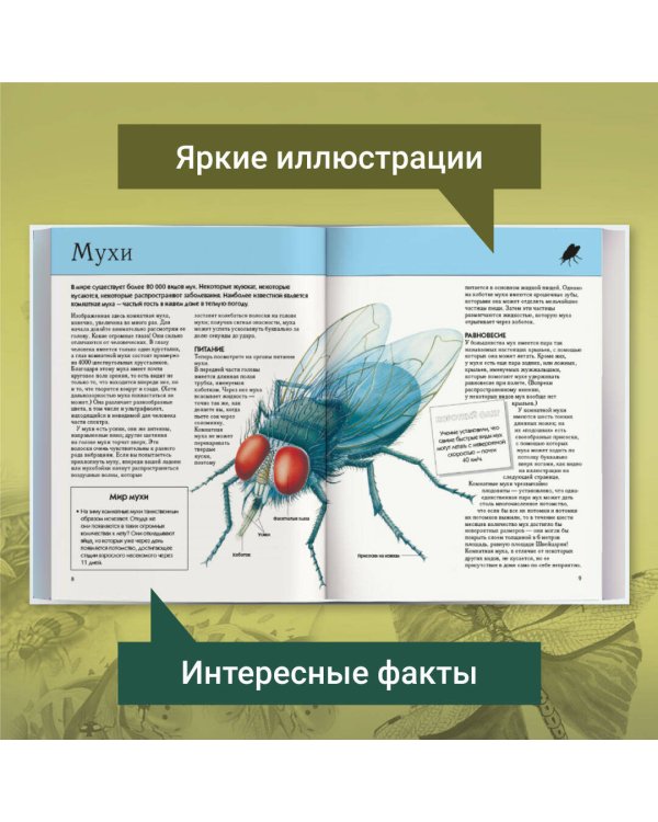 Насекомые. Полная энциклопедия