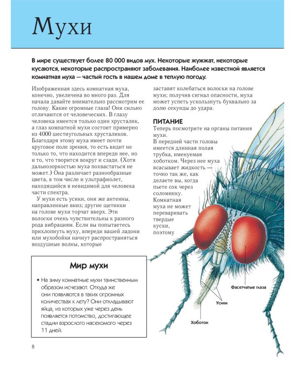 Насекомые. Полная энциклопедия
