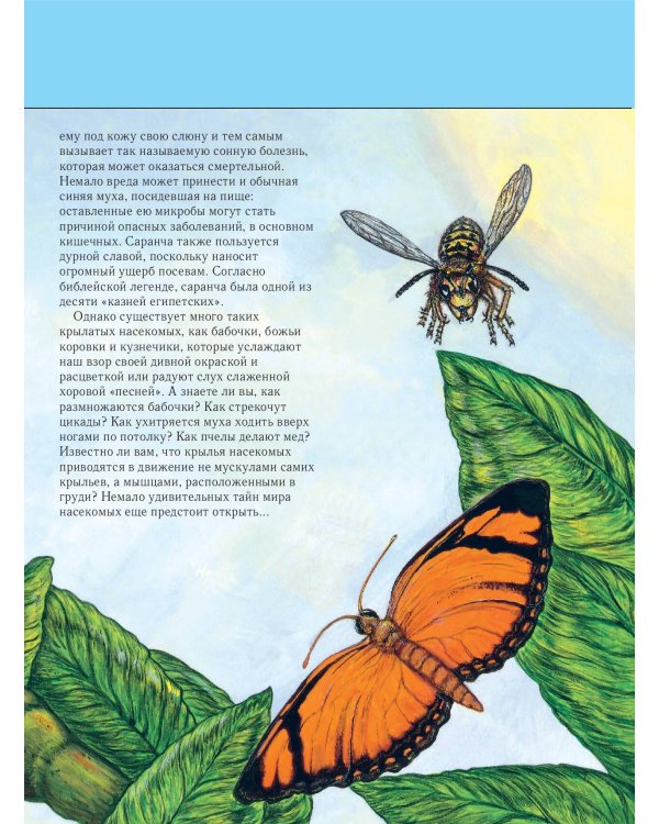 Насекомые. Полная энциклопедия