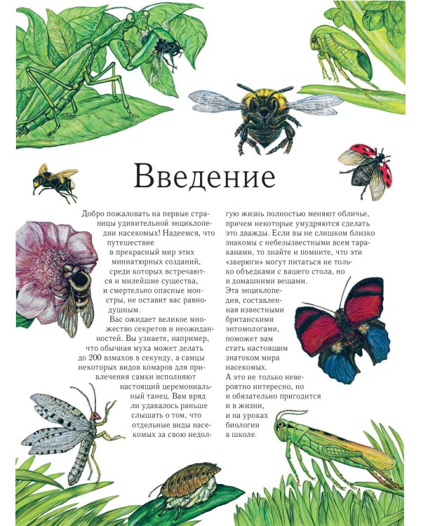 Насекомые. Полная энциклопедия