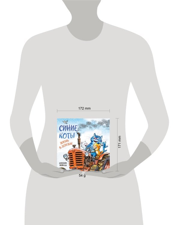 Синие коты. Жизнь в деревне. Календарь настенный на 2026 год (170х170 мм)