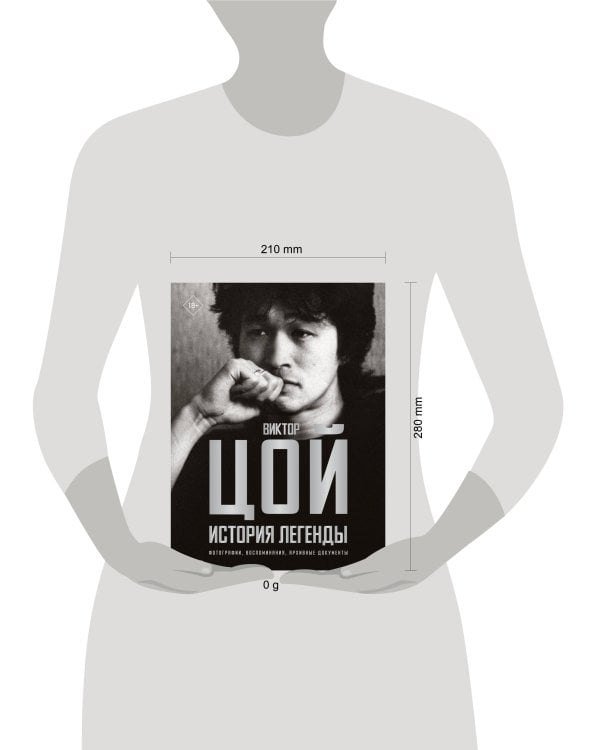 Виктор Цой. История легенды. Фотографии, воспоминания, архивные документы