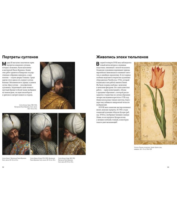 Великолепный век османского искусства. Дворцы, мечети, гаремы и ночной Босфор