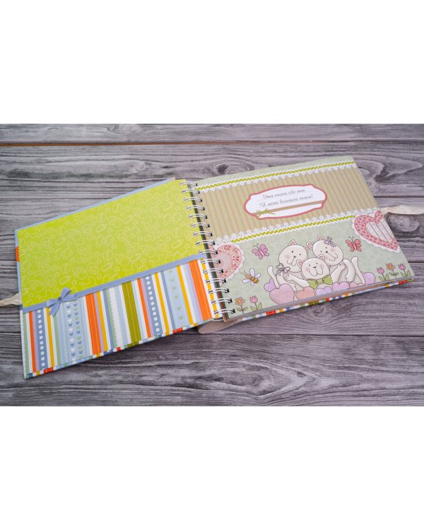 Мой первый год жизни (голубой)