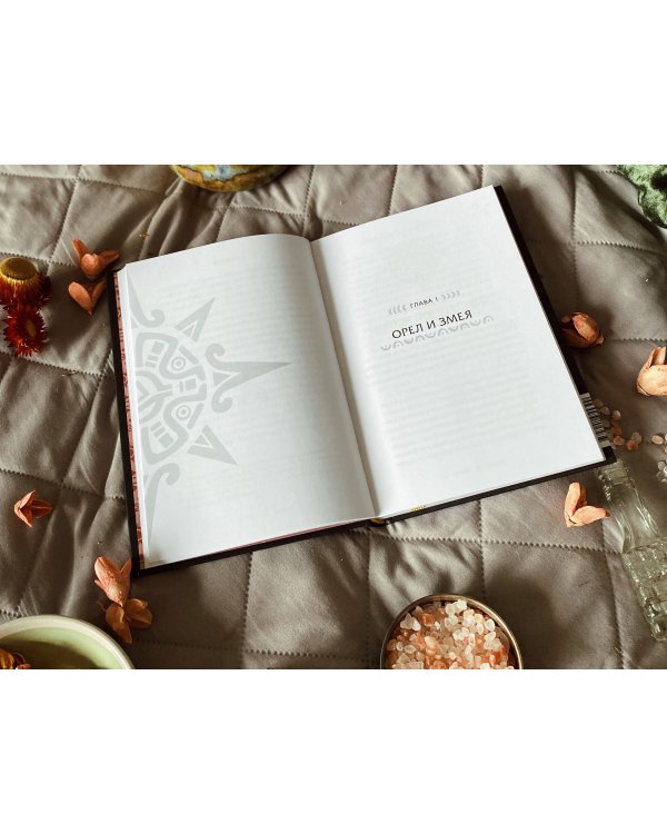 Истины шаманов. Тайные знания, истории и духовные практики для познания себя и мира