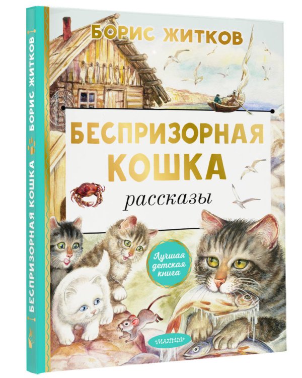 Беспризорная кошка