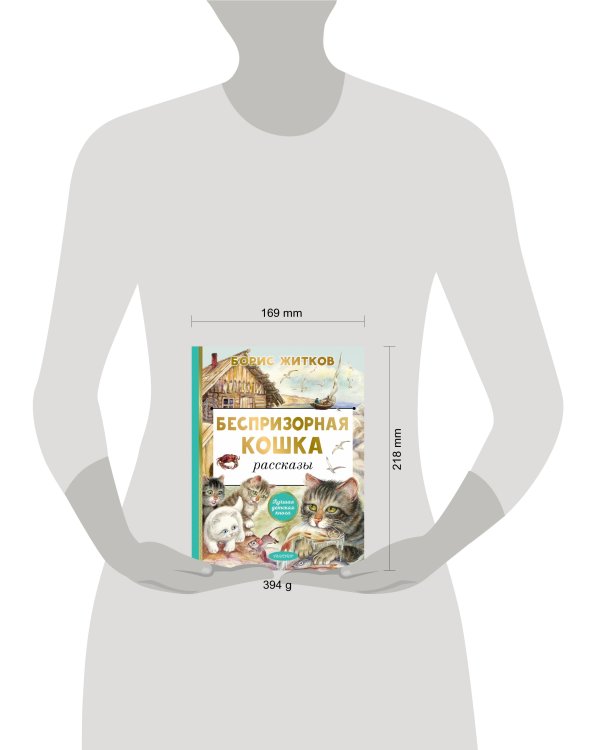 Беспризорная кошка