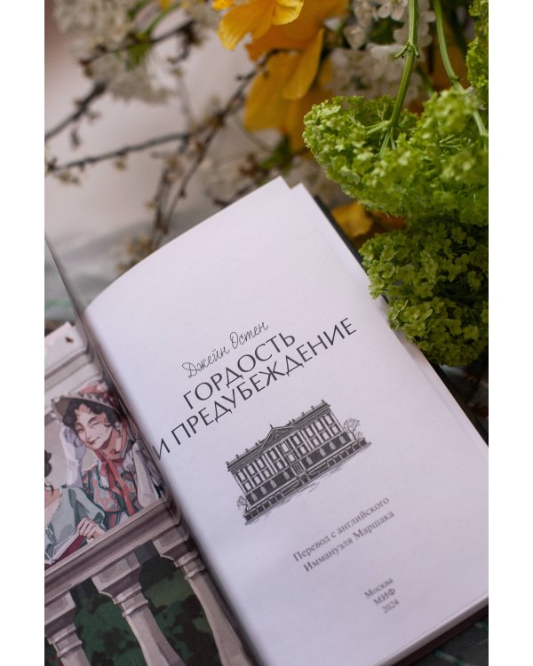 Гордость и предубеждение. Вечные истории. Young Adult