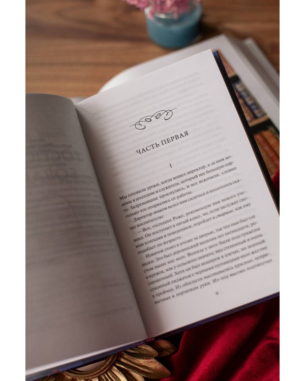 Госпожа Бовари. Вечные истории. Young Adult