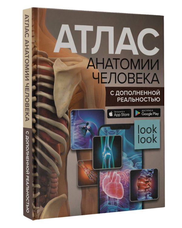 Атлас анатомии человека с дополненной реальностью