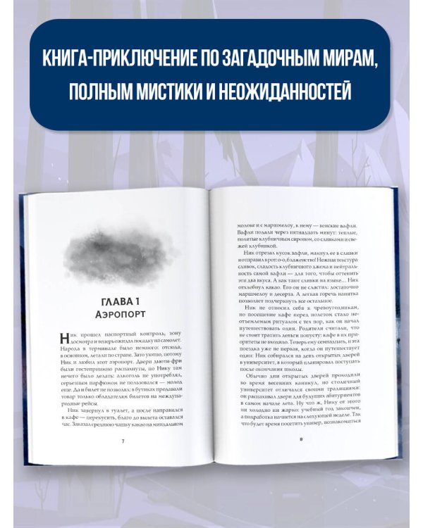 Темногорье. Пропавшая дверь