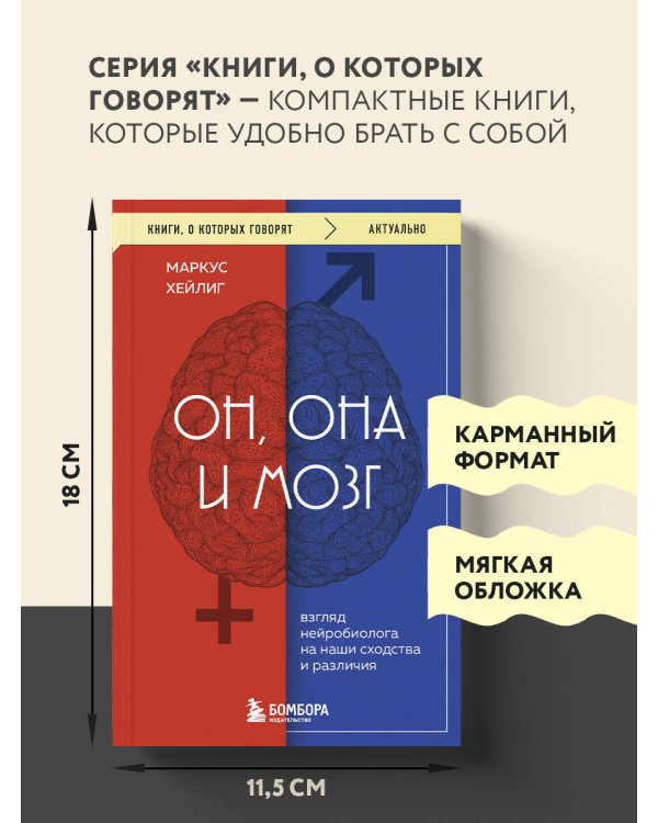Он, она и мозг. Взгляд нейробиолога на наши сходства и различия