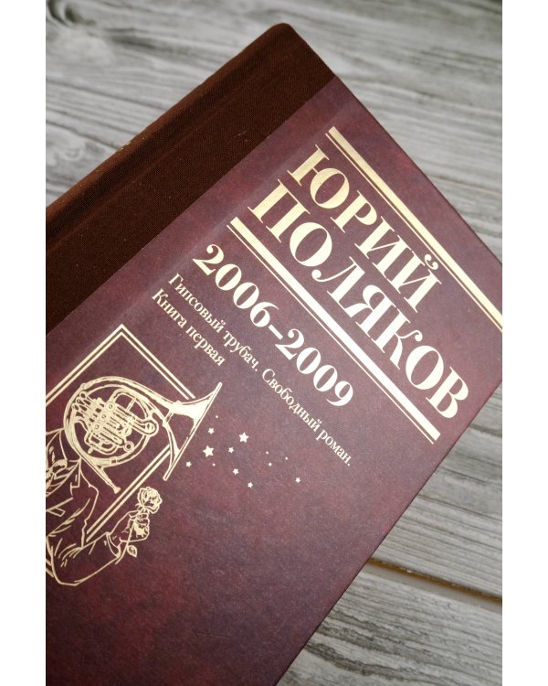 Собрание сочинений. Том 6. 2006-2009