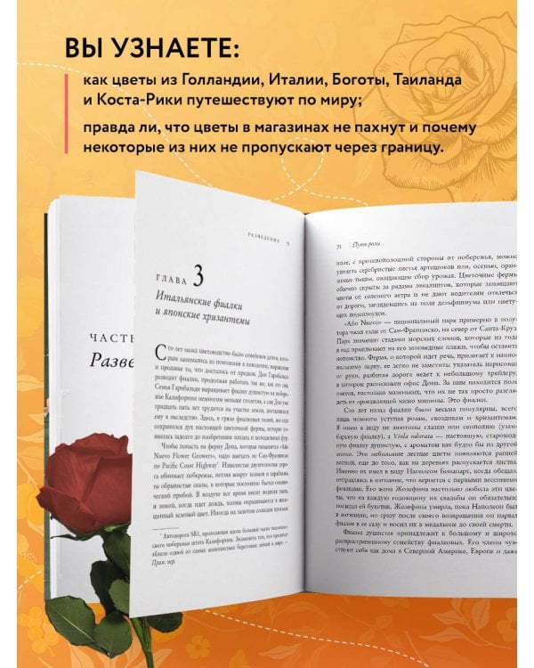 Путь розы. Внутри цветочного бизнеса: как выводят и продают цветы, которые не сумела создать природа