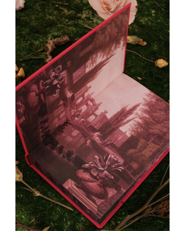 Мой темный принц. Специальное издание