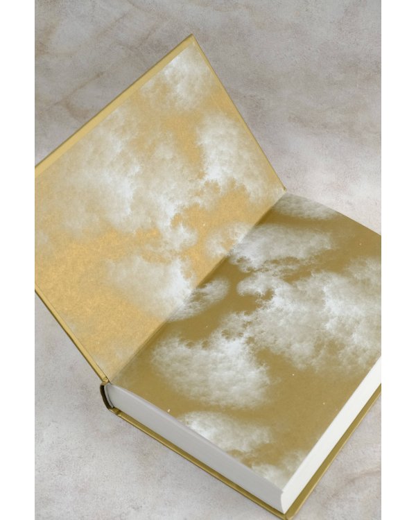 Темные начала. Книга 3. Янтарный телескоп