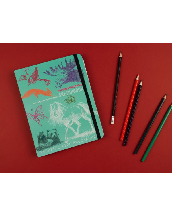 Sketchbook с уроками внутри. Рисуем животных (мята)