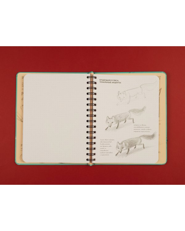 Sketchbook с уроками внутри. Рисуем животных (мята)
